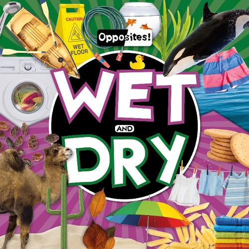Паперова книга «Wet and Dry», автор Емілі Дюфрен - фото №1