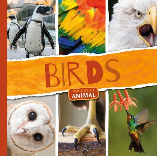 Паперова книга «Birds», автор Джоанна Брандл - фото №1