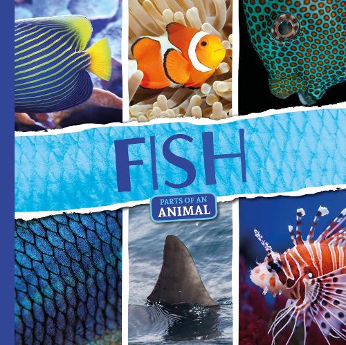 Паперова книга «Fish», автор Емілі Дюфрен - фото №1
