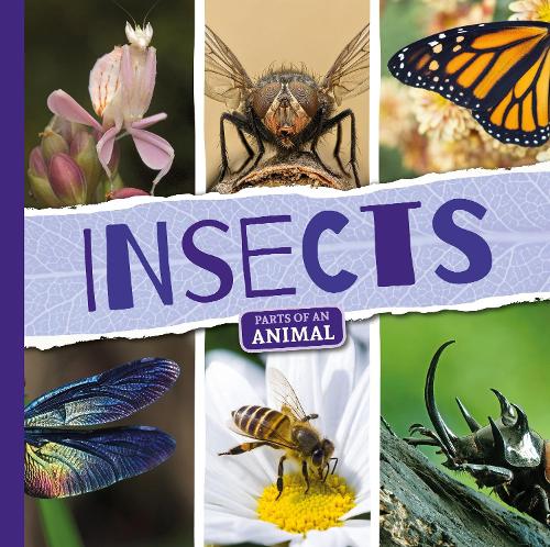 Бумажная книга «Insects», автор Эмили Дюфрен - фото №1