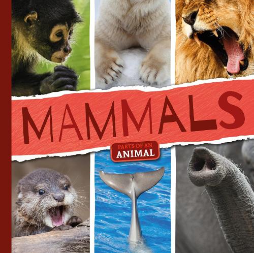 Паперова книга «Mammals», автор Емілі Дюфрен - фото №1