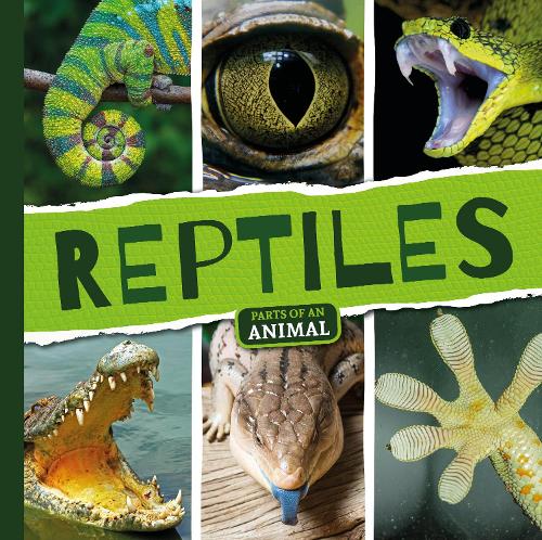 Паперова книга «Reptiles», автор Емілі Дюфрен - фото №1