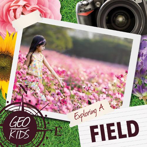 Бумажная книга «Exploring a Field», автор Холли Дьюиг - фото №1