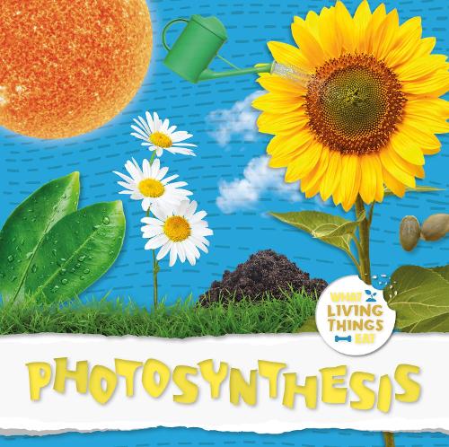 Бумажная книга «Photosynthesis», автор Харриет Брандл - фото №1
