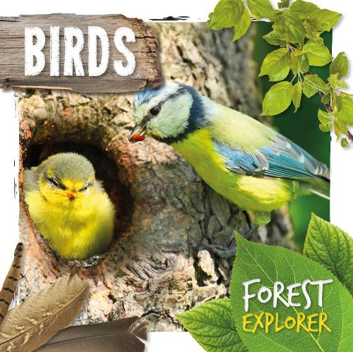 Паперова книга «Birds», автор Джоанна Брандл - фото №1