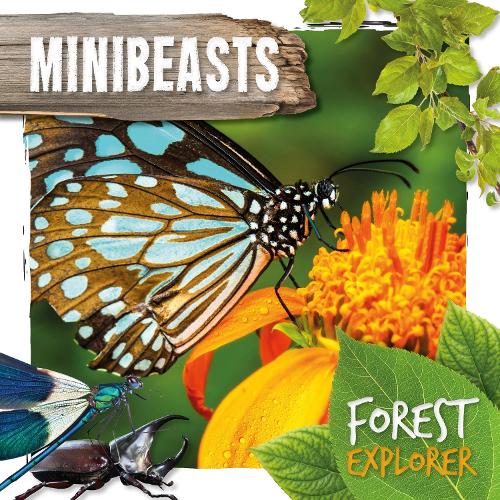 Бумажная книга «Minibeasts», автор Робин Твидди - фото №1