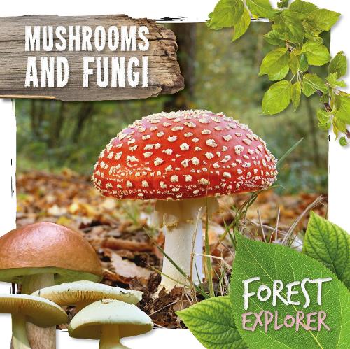 Паперова книга «Mushrooms & Fungi», автор Робін Твідді - фото №1