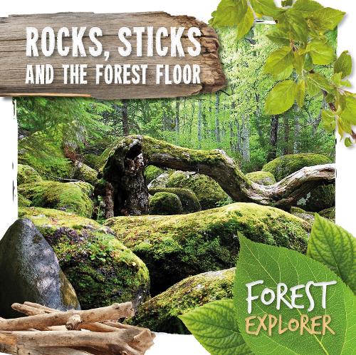 Бумажная книга «Rocks, Sticks & the Forest Floor», автор Робин Твидди - фото №1