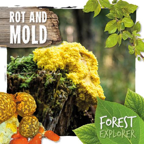 Паперова книга «Rot & Mould», автор Робін Твідді - фото №1