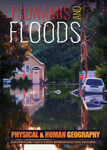 [object Object] «Tsunamis and Floods», автор Джоанна Брандл - фото №1