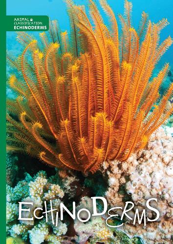 Бумажная книга «Echinoderms», автор Джоанна Брандл - фото №1