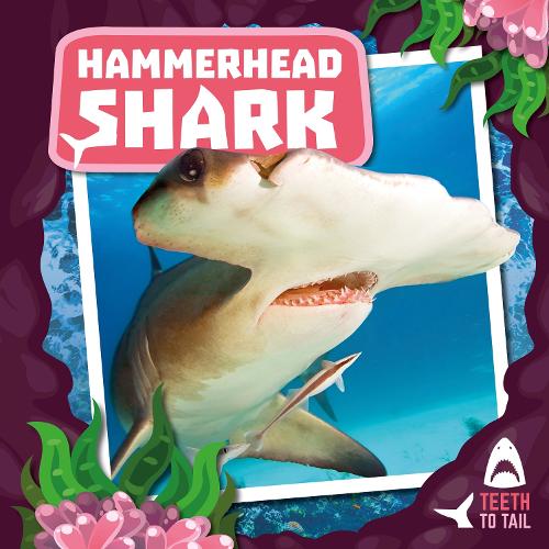 Паперова книга «Hammerhead Shark: Teeth to Tail», автор Робін Твідді - фото №1