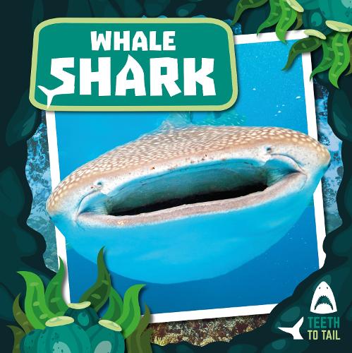 Паперова книга «Whale Shark: Teeth to Tail», автор Робін Твідді - фото №1