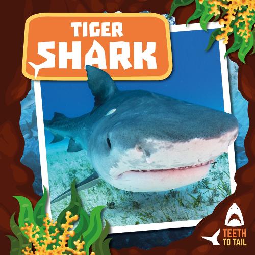 Бумажная книга «Tiger Shark: Teeth to Tail», автор Робин Твидди - фото №1