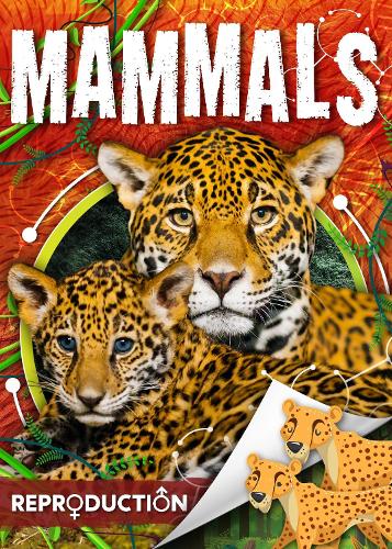 Паперова книга «Mammals», автор Джоанна Брандл - фото №1