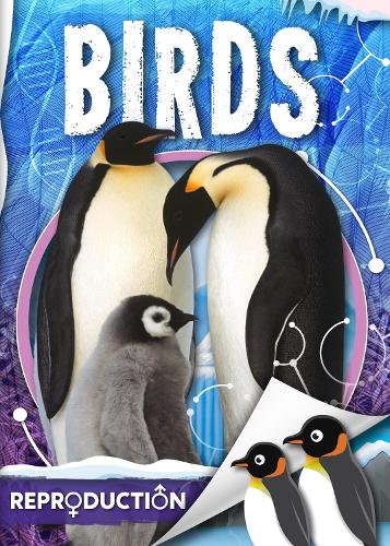 Бумажная книга «Birds», автор Джоанна Брандл - фото №1