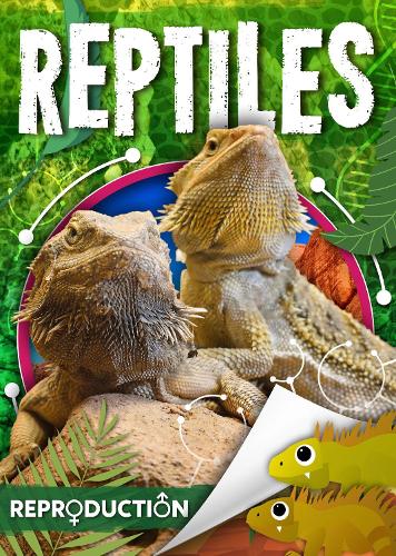 Паперова книга «Reptiles», автор Джоанна Брандл - фото №1