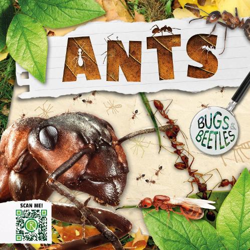 Паперова книга «Ants», автор Вільям Ентоні - фото №1