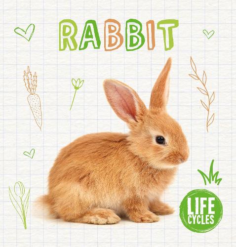 Бумажная книга «Rabbit», автор Шалини Валлепур - фото №1