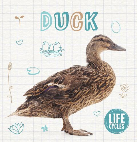 Бумажная книга «Duck», автор Шалини Валлепур - фото №1