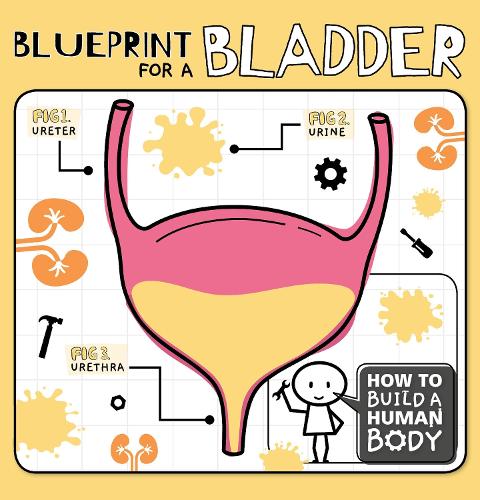 Паперова книга «Blueprint for a Bladder», автор Керсті Голмс - фото №1
