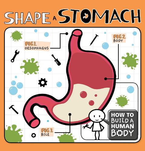 Паперова книга «Shape a Stomach», автор Керсті Голмс - фото №1