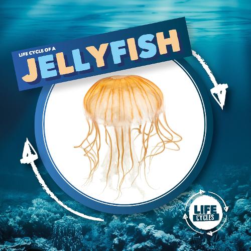 Бумажная книга «Jellyfish», автор Керсти Холмс - фото №1