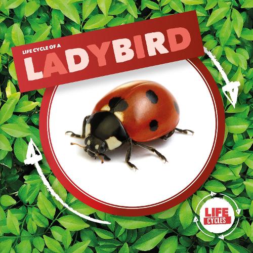Бумажная книга «Ladybird», автор Керсти Холмс - фото №1