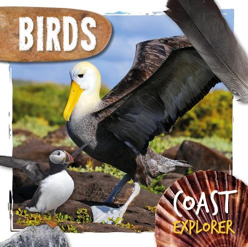 Паперова книга «Birds», автор Робін Твідді - фото №1
