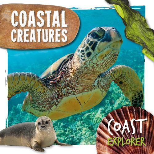 Паперова книга «Coastal Creatures», автор Робін Твідді - фото №1