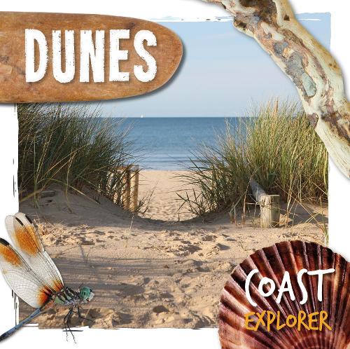 Паперова книга «Dunes», автор Робін Твідді - фото №1