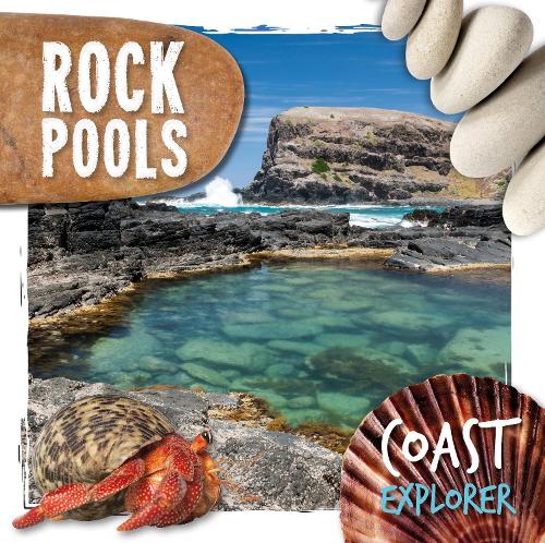 Паперова книга «Rock Pools», автор Робін Твідді - фото №1