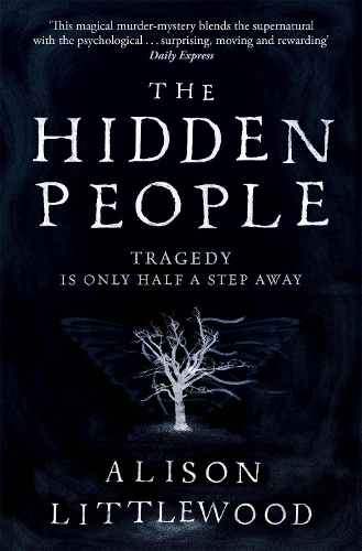 Паперова книга «The Hidden People», автор Елісон Літтлвуд - фото №1