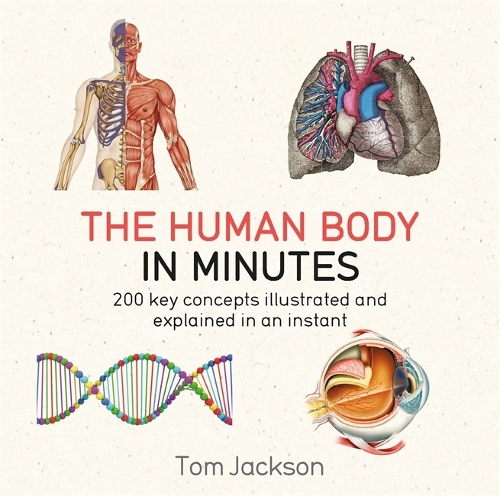 Бумажная книга «The Human Body in Minutes», автор Том Джексон - фото №1