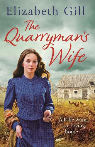 Бумажная книга «The Quarryman's Wife», автор Элизабет Гилл - фото №1