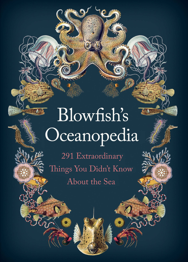 Бумажная книга «Blowfish's Oceanopedia. 291 Extraordinary Things You Didn't Know About the Sea», автор Том 'Блоуфиш' Херд - фото №1