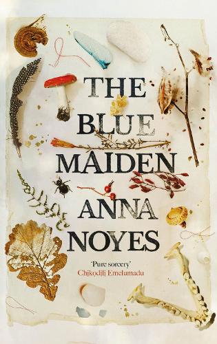 [object Object] «The Blue Maiden: A dazzling feminist gothic about witches, loss and resilience», автор Анна Нойєс - фото №1