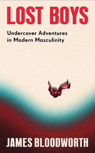Паперова книга «Lost Boys: A Personal Journey Through the Manosphere», автор Джеймс Бладворт - фото №1