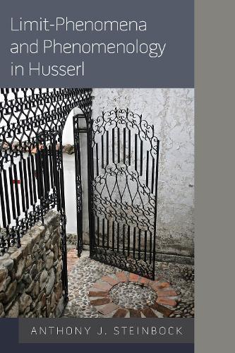 Паперова книга «Limit-Phenomena and Phenomenology in Husserl», автор Ентоні Дж. Стейнбок - фото №1