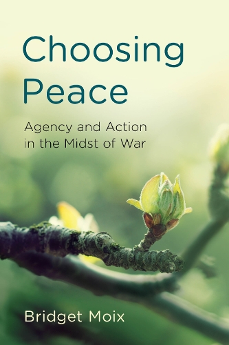 Бумажная книга «Choosing Peace: Agency and Action in the Midst of War», автор Бриджет Мойкс - фото №1