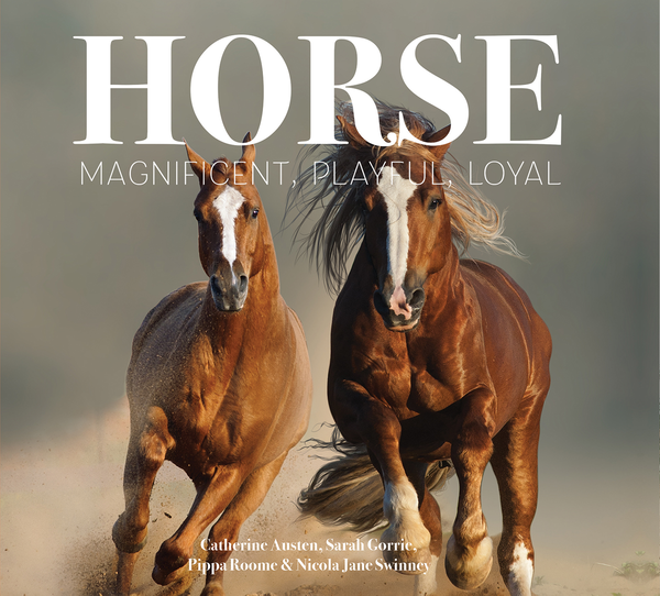 Бумажная книга «Horse: Magnificent, Playful, Loyal», авторов Кэтрин Остин, Никола Джейн Суинни, Пиппа Рум, Сара Горри - фото №1