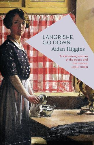 Бумажная книга «Langrishe, Go Down», автор Эйдан Хиггинс - фото №1