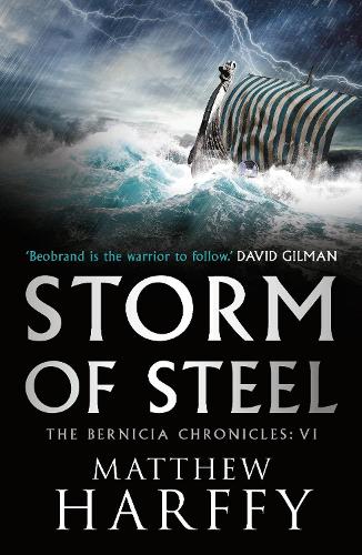 Паперова книга «Storm of Steel», автор Метью Гарфі - фото №1