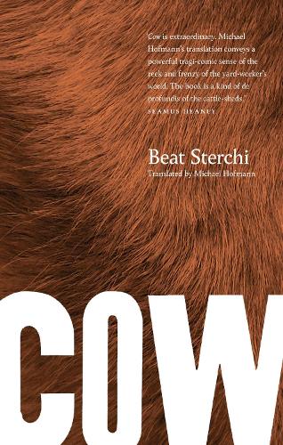Паперова книга «Cow», автор Біт Стерчі - фото №1