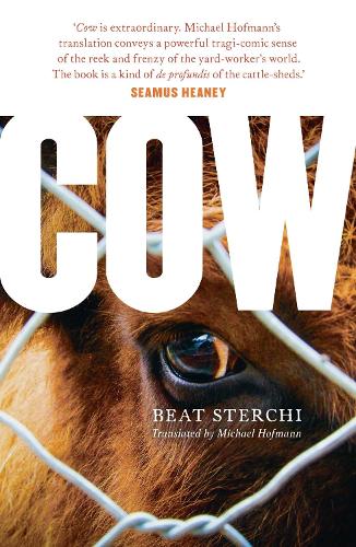 Паперова книга «Cow», автор Біт Стерчі - фото №1