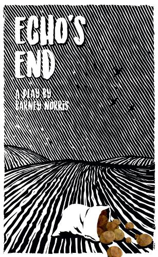 Бумажная книга «Echo's End: A Wiltshire Love Story», автор Барни Норрис - фото №1