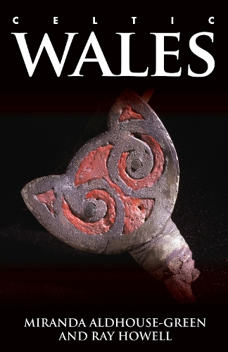 Бумажная книга «Celtic Wales», авторов Миранда Олдхаус-Грин, Рэй Хауэлл - фото №1
