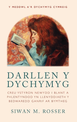 Бумажная книга «Darllen y Dychymyg: Creu ystyron newydd i blant a phlentyndod yn Llenyddiaeth y Bedwaredd Ganrif ar Bymtheg», автор Сиван М. Россер - фото №1