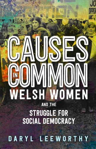 Бумажная книга «Causes in Common: Welsh Women and the Struggle for Social Democracy», автор Дэрил Лиуорти - фото №1