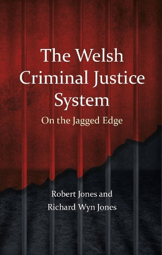 Бумажная книга «The Welsh Criminal Justice System: On the Jagged Edge», автор Ричард Уин Джонс - фото №1